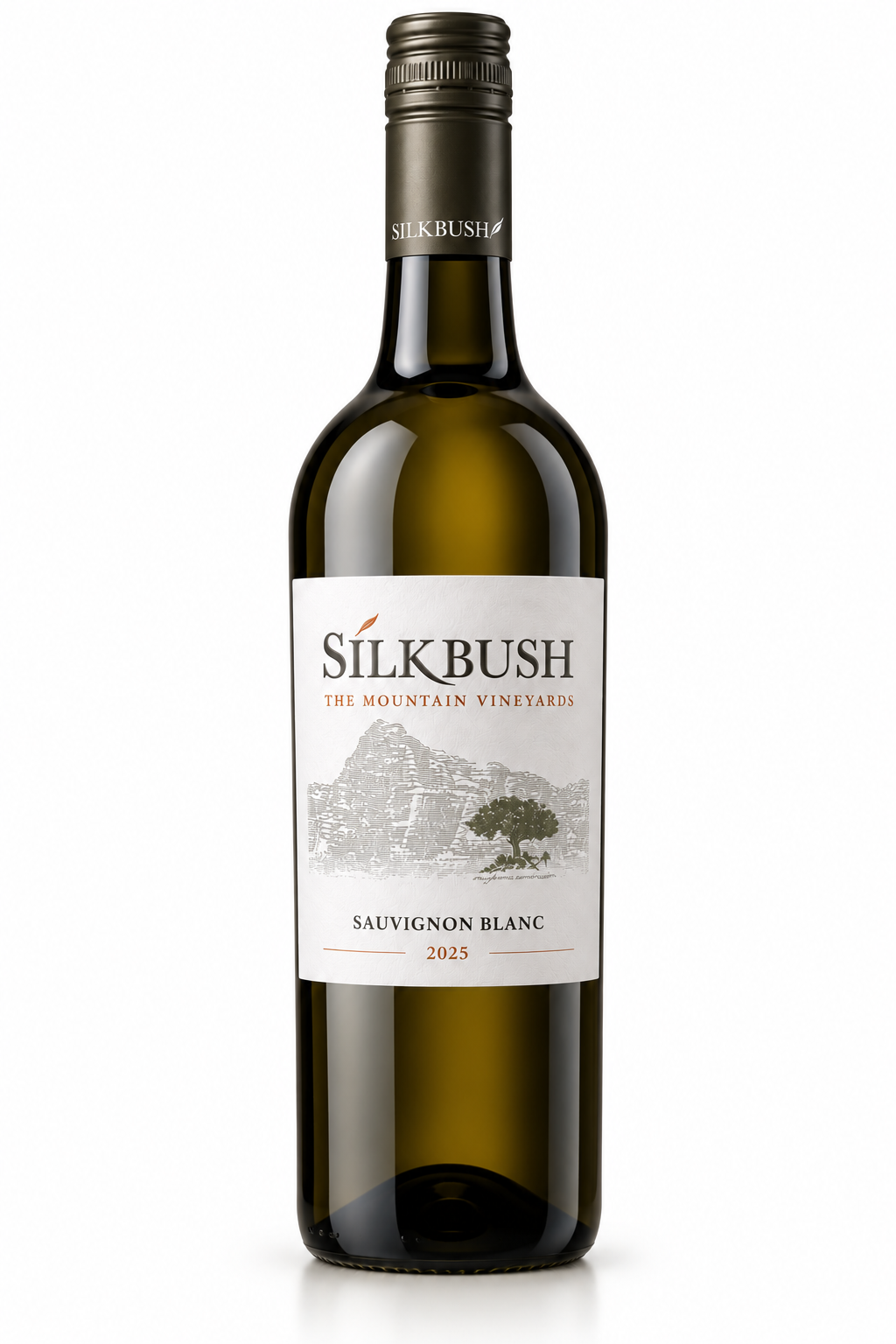 Sauvignon Blanc 2025