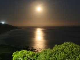 Morgan Bay Moon: a Transfixing View