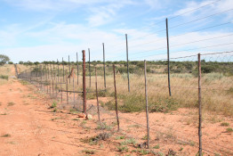 Without these fences, the wild animals would escape onto the adjoining ranch lands and prey upon the cattle. The ranchers would retaliate with rifles, and the wild population would diminish in short order. So these modern fences are essential.