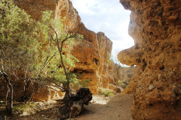 15-18 million years ago the Tsauchab River cut a gorge during a significantly wetter period of the Namib’s history. The canyon itself was created by continental shelf upheaval 2-4 million years ago.