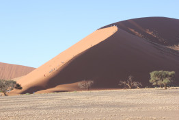 Dune 45 is a traditional but very exhausting climb for tourists. It is not as strenuous as the climb up Big Daddy.