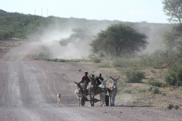 The Donkey Cart is one of the quintessential Namibian forms of transport. As you journey across Namibia's dusty roads, you will pass by more than one...!
