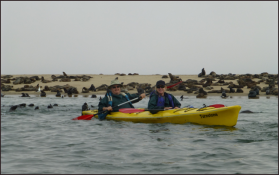 Walvis Bay is located a convenient half an hour south of Swakop. Dave and Catherine enjoyed a magical kayaking experience on the beautiful lagoon and in the surrounding water of Walvis Bay.

They went there to experience kayaking with Jeanne Meintjes who owns "Eco Marine Kayak Tours" www.emkayak.iway.na 
(<a href="http://www.emkayak.iway.na ">www.emkayak.iway.na </a>) 
 and leads everyone on the water.