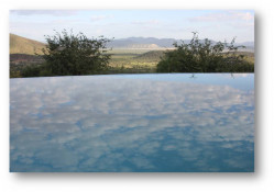 This is the "infinity edge" swimming pool at the Opuwo Lodge, and it looked very inviting.