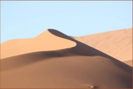 Sossusvlei is characterized by the large red dunes that surround it; Sossusvlei is a large, white, salt and clay pan and is a great destination all year round.