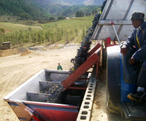 From this position of the gondola box, the entire load of grapes spills out in just a few seconds. The grapes on the bottom of the truck's container have already been crushed by the weight and a fair amount of grape juice will pour out at the crusher. So it is now very important to get the load into the winery without delays. (Incidentally, the pear trees at the rear of the photo belong to a neighbor, not Silkbush. We are out of the tree fruit business.) These side dumping gondolas are very efficient and we own three that work in the field, and two more larger ones for the trucks that go to the wineries. We bought one more in 2007 as our increasing harvests required it. As of 2009, we are at perhaps 93% of full vineyard maturity and are consistently harvesting well above 1,000 tons each year.