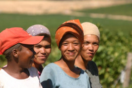 This group of girls worked the '05 Harvest, picking grapes by hand, high in the mountain vineyard. While the majority of Silkbush grapes are picked by machine, the grapes on the highest blocks, especially the Pinotage, always have to be picked by hand into 20 Kg crates.