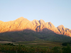 The only way you can have sharp shadows on our eastern mountains at sunset is when it is bell clear to the west. This was such an evening in April 2004, as we neared the end of our first good sized harvest, over 550 tons. (As of 2007, we are doing over 1,200 metric tons as more blocks attain maturity and we are 99% planted.)
