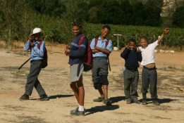 In the rural parts of South Africa, many of the school children ("learners") wear uniforms through high school. In our area, the children of all races typically attend elementary school together in the farm country. When they reach high school age, some children drop out of the education system and others go into the towns like Worcester and Paarl, either driven by their parents daily or they board in dormitories during the week.