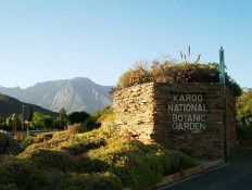 Karoo Desert National Park and Botanic Garden, while not as famous as Kirstenbosch Garden in Cape Town, is a lovely place to visit while touring the Breede River Valley. Located just north of the N-1 highway, across from the city of Worcester, the large hillside botanical garden contains countless species of succulent plants and flowers from the large Karoo Desert of South Africa.