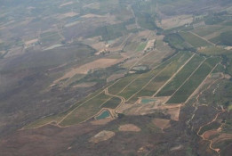 This photo taken from neighbor Rico Suter's glider shows Silkbush Mountain Vineyards, Bowe (to the left and above), Suter (still farther to the left and above, with its large reservoirs most apparent), Marais (upper right hand corner) and Silver Springs (in the lower right hand corner, to the right of the windy gravel road). Note: the blocks above our lower dam had not yet been planted in this photo.