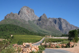 A few years ago, Hansie van Niekerk invited SILKBUSH's Dave Jefferson to lunch with one of the other very few Americans to make a home (at least part time) in the Cape Winelands, Herb Korthoff. Herb retired from US business, and after doing his fair share of big game hunting, decided to buy a vineyard and residence in Franschhoek Valley. In 2006, Dave made his way over to Normandy Winery to say hello to Herb. It was an impressive setting and great visit.