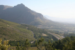 From the lookout point on the old Sonstraal highway over the mountains, the newer N-1 highway bridge leading to the De Toitskloof Tunnel is very prominent. The interior of South Africa was largely "off limits" to early European settlers from the 1650's until the mid 1800's, due to the steep mountain escarpments that ring the country. However, when the English took over the Dutch colonies from the 1820's, wagon roads were built over the logical pass routes, usually with convict labor, and then railroads, and finally paved highways. Most highways in South Africa are designated as N (national), R (regional), or M (municipal). When this national highway bridge and tunnel were constructed, it reduced the time to get to interior Worcester and beyond by at least 30 minutes. (Our Silkbush neighbor, Earl Buntmann, actually designed and built this massive bridge in 1982.)