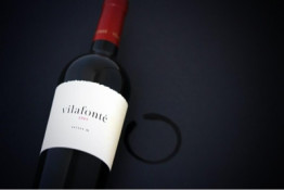 Vilafonté is named after vilafontes, one of the more unique soil types in their vineyard. Vilafontes is one of the oldest recorded soil types in the world and has been defined as being somewhere between 750,000 and 1.5 million years old. The age of the soil is important as it is deeply evolved and has been stripped of much of its inherent capacity, with a low production potential that encourages smaller vines, lower yields and highly concentrated fruit. The state-of-the art Vilafonté Winery is located in Stellenbosch at Bosman’s Crossing, an urban area at the base of the mountains that surround the town. It is one of the most advanced wineries in South Africa purposefully and specifically designed by Zelma Long for the highly specialized art of fine red wine production.