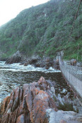 The area is much like the California coastline, and there are many places to visit, including Tsitsikama National Park, and its famous Suspension Bridge. The Suspension Bridge and Lookout Trail is an easy stroll that leads along the western side of the river mouth, past the Strandloper Cave to the suspension bridge across the mouth. On the other side of the bridge there is a short but very steep climb to a lookout point from which there are fine views of the mouth and the camp.