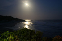 Here is Morgan Bay at night. The small light to the left is from the lighthouse on the point to the north.