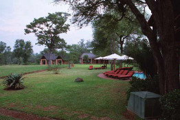 At King's Camp, most guests are lodged in separate rondevals or duplexes. Check out rates and more information at (<a href="http://www.timbavati.krugerpark.co.za">www.timbavati.krugerpark.co.za</a>).