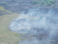 As we flew from Savute to Nxabega, we spotted several fires in the delta and asked about them. Evidently the peat goes down very deep in some areas and if a fire gets started, it is virtually impossible to put it out. We asked how long these fires had been burning and they told us: At Least 50 Years!