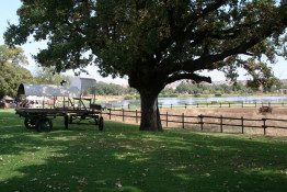 An 18th century wagon peers out over a preserved wetland behind the upscale Irene Country Lodge (and restaurant). In the distance are the red tile roofs of the fast growing subdivisions between Pretoria and Johannesburg to its south. (<a href="http://www.irenecountrylodge.co.za">www.irenecountrylodge.co.za</a>) . Just a few miles away is the humble family home (now a museum) of General Jan Christian Smuts, acknowledged by Cambridge University on its 500th anniversary, as one of the three finest minds who ever attended (along with John Milton and Charles Darwin) and certainly the most accomplished public figure produced in South Africa (1870-1950).