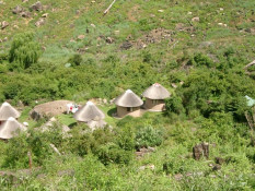 The Injisuthi camp managers were an Indian couple making a career of park management, but all the workers under them were Zulus who lived next to the camp in permanent quarters. The rondavels are traditional houses for numerous African tribes, but especially the Zulus.