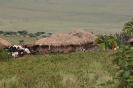 The Maasai Village was just below the rim of the Ngorongoro Crater, and the women were gathering rain water from a creek. They really could benefit from a simple, inexpensive foot run sump pump rather than scooping bowls to fill buckets.