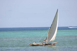 Dhows have been using lateen sails for centuries. We have read that when the trade winds get up to 25 knots, certain dhows can reach almost 12 knots per hour. That is just flying in a small sailboat! With the sail in this position, it is almost like a spinnaker, running with the wind behind.