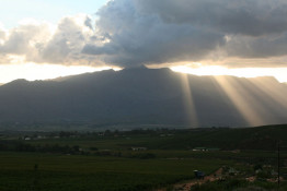 While this shot lacked the colors, it did not lack for drama. A big storm was moving up the Breede River Valley (a black "Southeaster," as they call them in the Cape), and the light fading fast. It blew hard that night, but the rain was light, and harvest continued apace the next morning.
