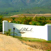 Here you enter Silkbush Mountain Vineyards! As you pass through this gate, from sunrise to sunset, our high mountain vineyards in South Africa are unforgettably beautiful. We invite you to discover our extended family, our grapes, and the Kingsbury Cottage, our five-star guest house, as you peruse our photo galleries.