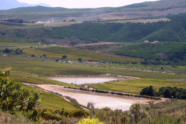 April 2014 was late fall, and the harvest was nearing completion. The Wabooms River bisects the center of the photo at the tree line. All the vineyards and property above the river at this point belong to the Marais family (Franci Marais Roos' parents) and other neighbors.